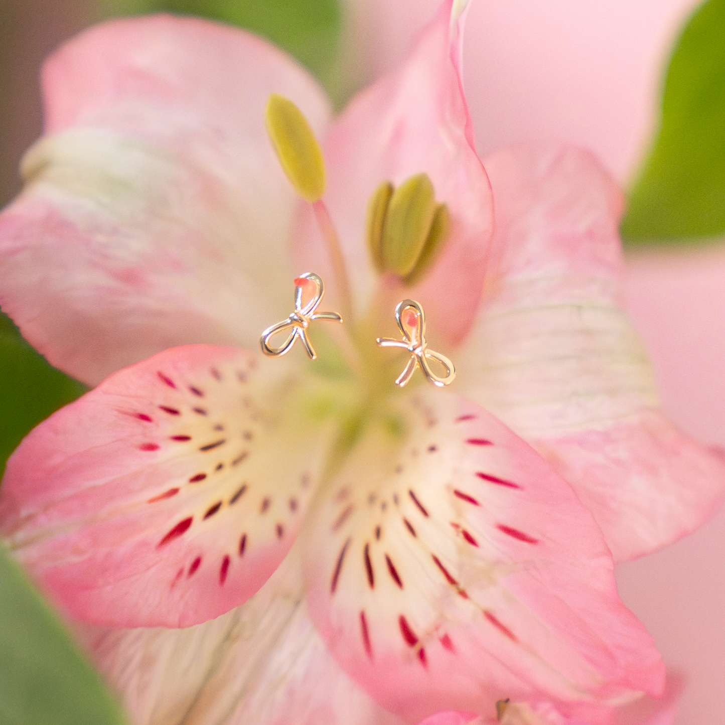 Luxe Tiny Bow Stud Earrings
