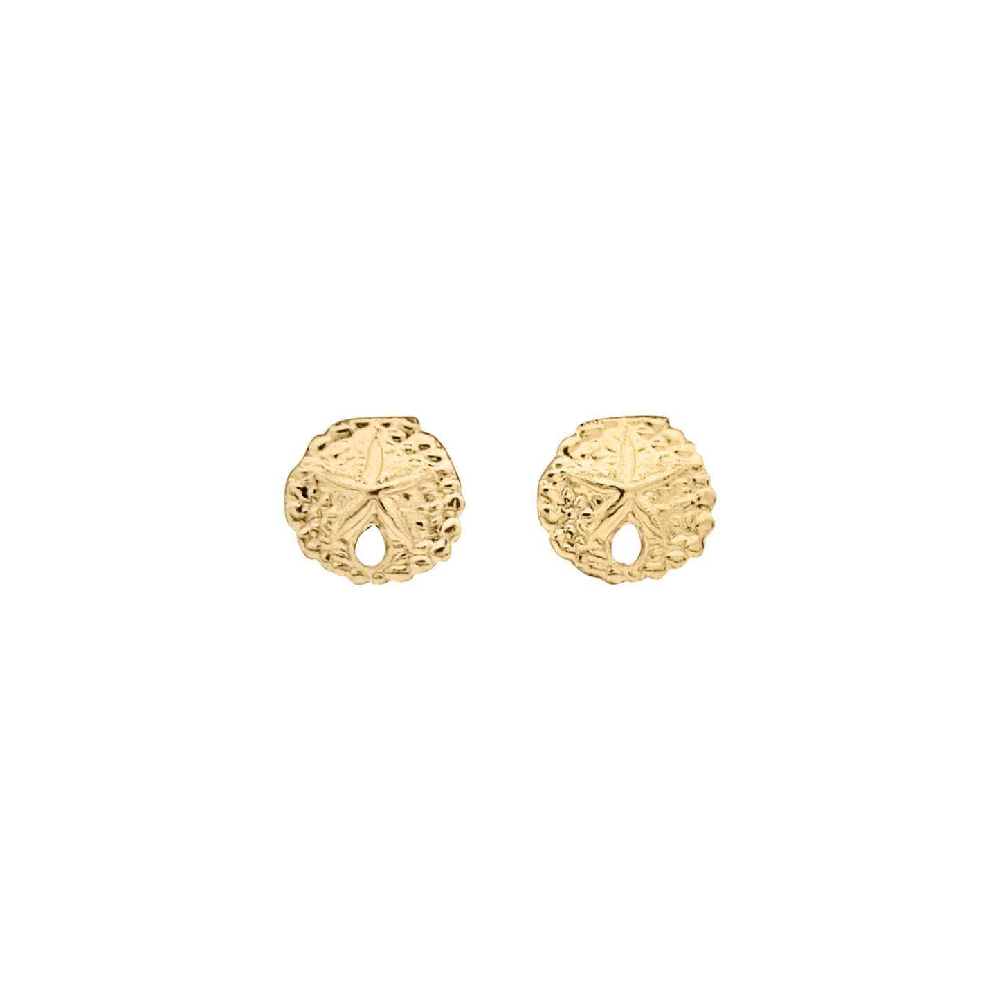 Sand Dollar Stud Earrings