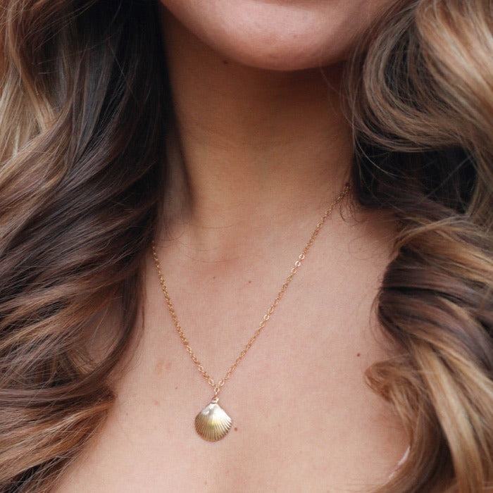Sea Shell Necklace