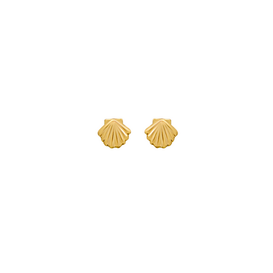 Sea Shell Stud Earrings