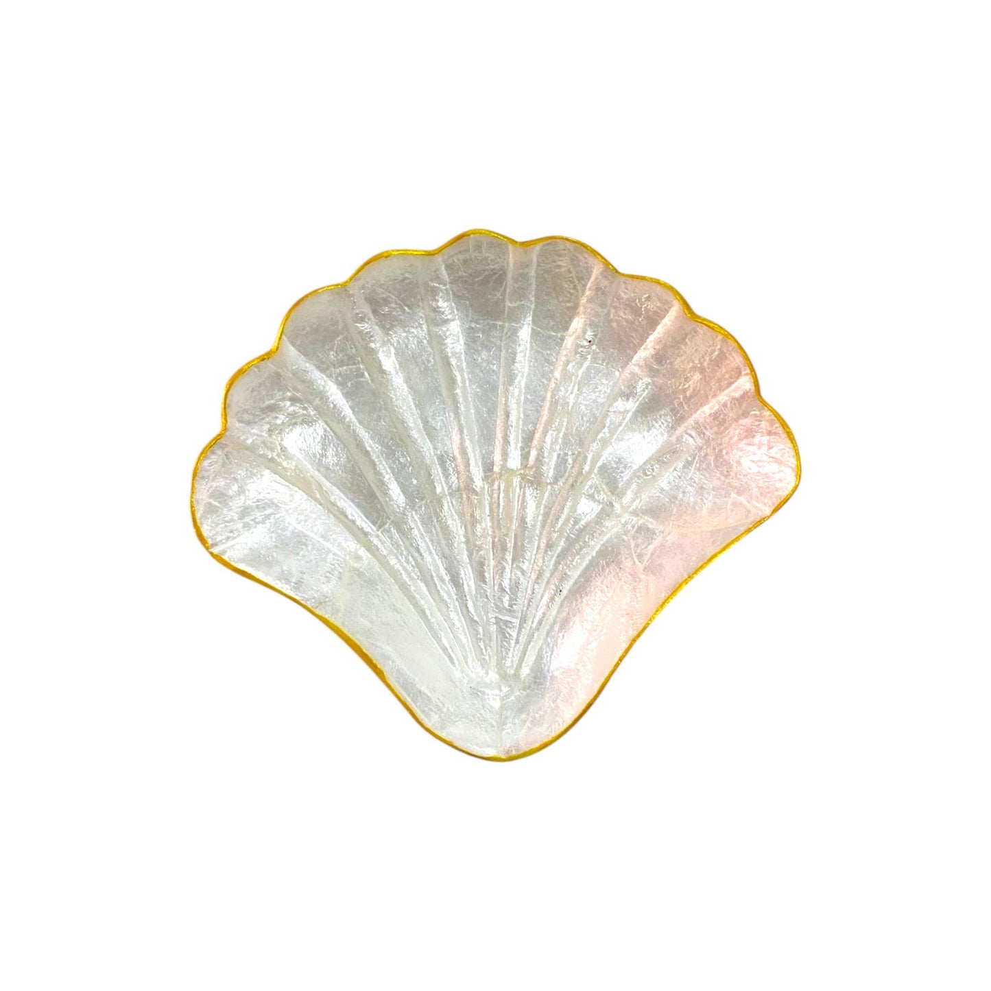 Capiz Shell Jewelry Dish : Clam