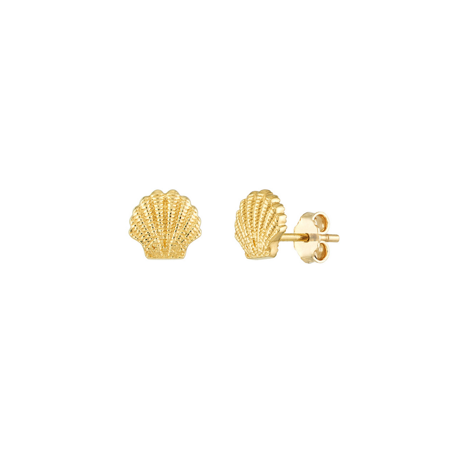 Luxe Seashell Studs