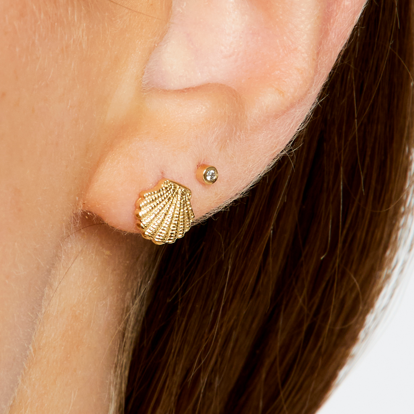 Luxe Seashell Studs