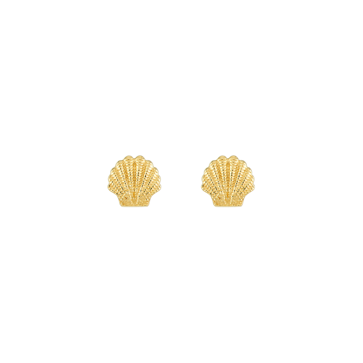 Luxe Seashell Studs