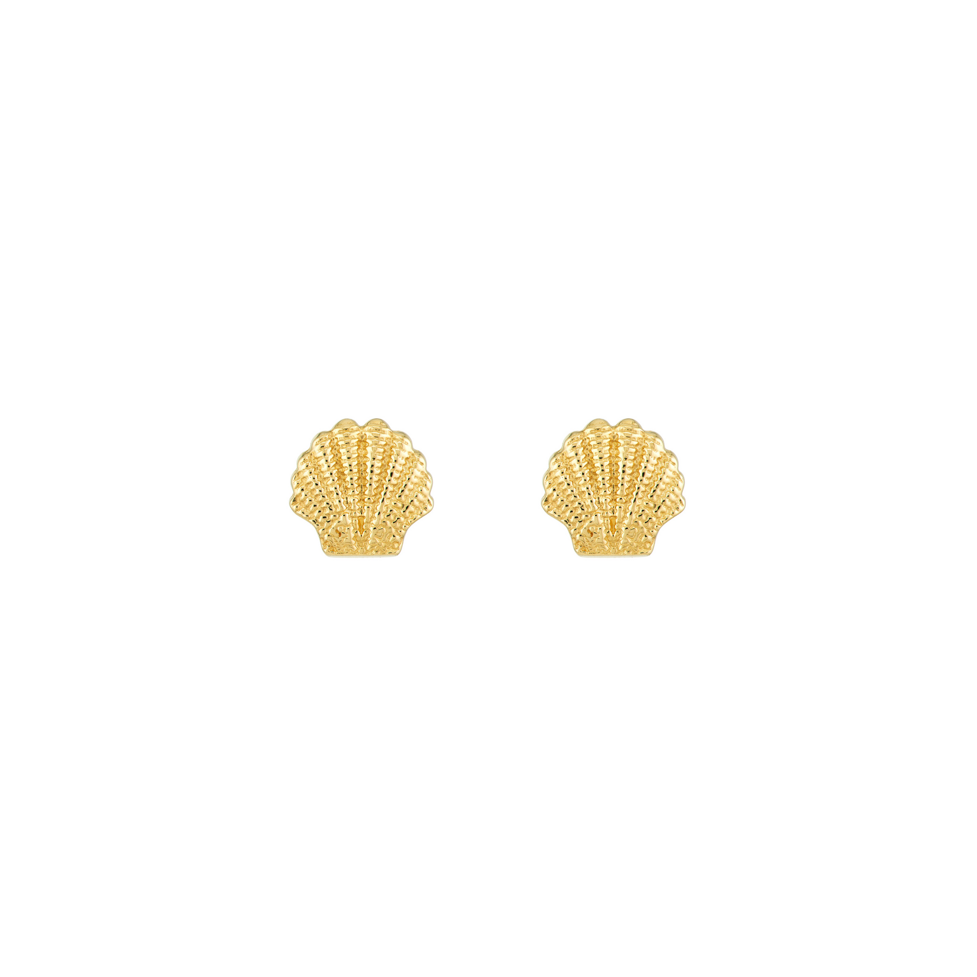 Luxe Seashell Studs