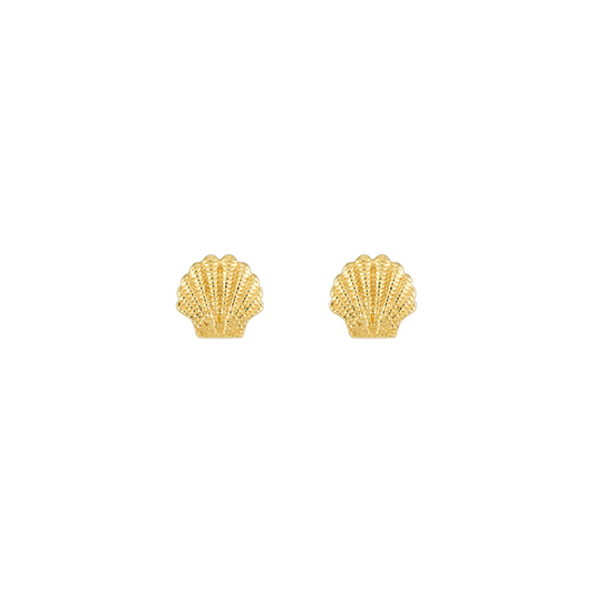 Luxe Seashell Studs