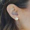 Sand Dollar Studs (Silver)