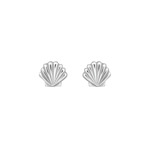 Sea Shell Stud Earrings (Silver)