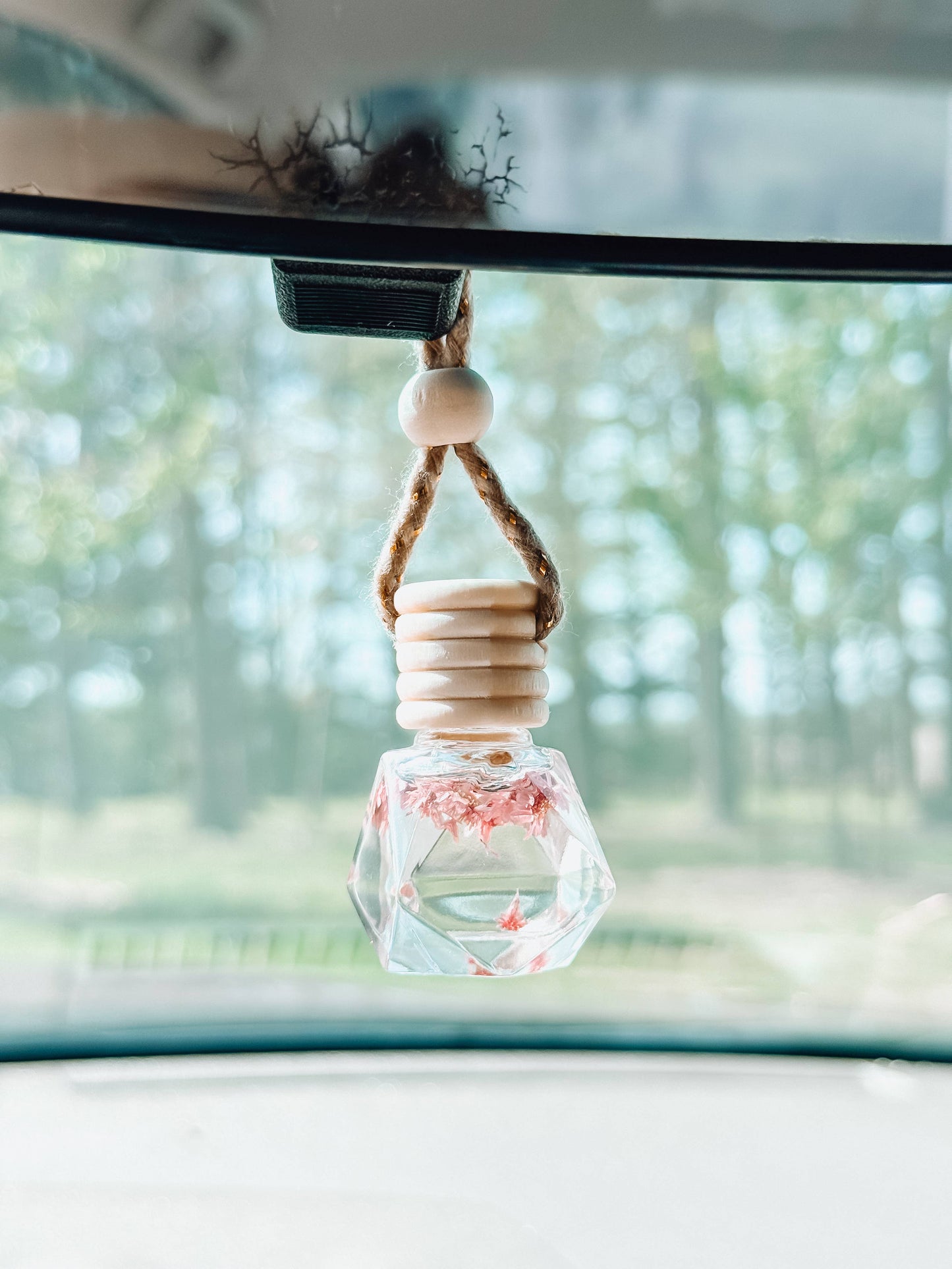 Car Diffuser: Desert Bloom